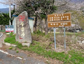 안녕하세요~  용운사입니다.저희는 음력  윤 2월 9일(양력 3월 30일)날 삼사순례를 가보았습니다.용운사 신도분들과 함께여서 더욱 더 뜻깊은 자리였던거 갔습니다.자 그럼 여러분도 저희와 함께 떠나 보실까요~~??첫 순례지는 의령 수암사입니다.이 길로 쭈욱 올라가서 입구쪽으로 가 볼께요~ 사천왕이 있는 입구문을 통해 들어가 보았어요 사천왕이 있는 입구쪽으로 들어왔어요~  구경하고 절한다고 사진을 더 디테일하게 찍지 못했네요 ㅜ.ㅜ 조금 아쉽네요....  다음엔 잘 찍어와야겠어요.이제 내려가려고 하는데요  333기 관세음보살상이 쭉 있는 길이 있드라구요그쪽으로 내려가 볼께요~ 와 !!  이렇게 많은 관세음보살님들이 계셨어요~길을 쭉 따라 내려오면서 벚꽃이 넘 이쁘게 피었네요. 날짜를 정말 잘 잡은거 같아요 ^^보천사지 삼층석탑이 보이네요~이제 버스를 타고 다음장소로 이동해 볼께요~~두번째로 방문한 곳은 진주 청곡사 입니다. 옛스러움이 느껴지네요~ 호수가 있네요 ~   오랜 세월의 흔적을 느낄수 있었습니다. 작은 연등이 너무 인상적이네요~  넘 귀엽기도 하구요 각각의 소원들을 담고 있네요~~이제 마지막으로 세번째 전주 송광사로 가볼께요~~ 주차장에 차를 세우고 들어가는 입구에 넘 이쁘게 피어서 찍어 봤어요~ 송광사는 다른절과 다르게 조금더 엄숙하고 조용한 분위기라고 해야될까요??  절이 보통 조용하고 엄숙한 분위이긴 하지만 송광사는 특히 더 그랬던것같아요.  제 느낌에는요 ㅎㅎ 우리 신도님들 열씨미 기도하시네요!! 우리 용운사 신도님들과 함께 단체 사진도 찍어 보았습니다~~우리 신도분들 모두 소원성취하시고 성불하세요!!이상  총무보살 무상화였습니다.다음번엔 조금더 디테일한 내용으로 뵐께요~~