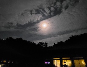 안녕하세요~ 용운사 입니다.추석명절 저녁에 보름달들  보셨나요?? 행사끝나고 어두운 저녁....  저희 총무스님은 열씨미 보름달 사진을 찍으셨네요^^  불자님들  보름달 보시고 소원성취하세요~~~  