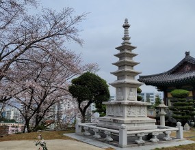 2023년 계묘년 입니다.매섭고 추웠던 바람이 사라지고따뜻한 햇살이 내려쬐기 시작하니용운사에도 꽃이 피기 시작했네요~도량에 오시는 신도님들께서도주위를 한번 돌아보시면서 새롭게 피어나는새 생명들도 한번 보시면서 봄이 옴을 느껴보세요^^